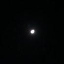 신신호텔 천지연 이미지