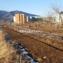 장수공인중개사사무소 이미지