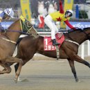 형제파크 이미지