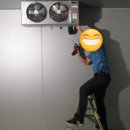 삼일냉동 이미지