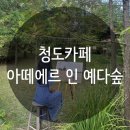 [청도 카페] 청도 숲속카페 아떼에르 인 예다숲 포토존 주차