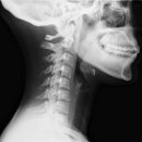 경희다나한의원 이미지