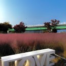 두리원웨딩홀 앞 이미지