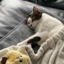 정원의료기 이미지