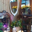 아리하우스 이미지