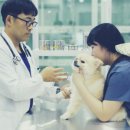하단동물병원 이미지