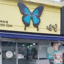 나비네일 이미지