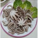 신안산낙지 이미지