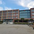 장미약국 이미지