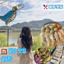 남천강변로 | 밀양 맛집 내돈내산 굴림당, 피 얇고 속 꽉 찬 만두 포장 후기