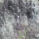 무주읍166 이미지