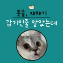 횡성동물병원 이미지