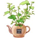 갑천우안도로 이미지