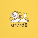 단짝멍몽 이미지