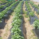 강정보여울협동조합 이미지