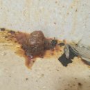 문산읍-3 이미지