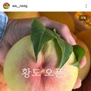 샤인농부협동조합 이미지