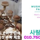 진짜손짜장 네이버블로그
