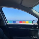 현대자동차수산점 | [제주도] 4월 제주여행 day2 : 무지개해안도로 / 사려니숲길 / 해비치호텔 / 로컬크랩 / 표선수산마트