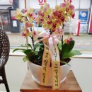 일동동물병원 이미지