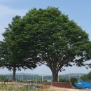 경기둘레길 여주33코스 이미지