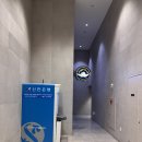 (주)호텔롯데 롯데시티호텔명동 | 20만 원으로 만족 가득 호캉스, 롯데시티호텔 명동 내돈내산 후기