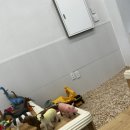 파레트팡강릉점 이미지