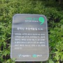 무장애숲 이미지