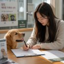 우리 펫 택시(woori pet taxi) | 보호소에서 우리 집까지, 강아지 입양 전 꼭 확인해야 할 3가지