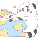 빙고 애견카페 이미지