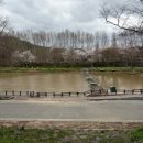 군청 메타세콰이어길 | [담양여행] 담양 당일치기 나들이 담양시장, 관방제림, 메타프로방스 다녀오기