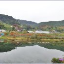 섬진강자전거길1 이미지