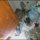 정발산로 이미지