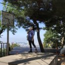 봉화산 민박 이미지