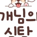 멍멍식탁 이미지