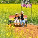 장성 노컷뉴스