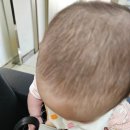 과천점 현대자동차 이미지