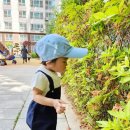 금촌어린이집 이미지