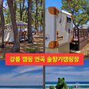 강릉 캠핑 연곡 해변 솔향기 캠핑장 답사 후기 2026.6.6