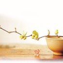 한잔먹세 이미지