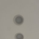 화이트팰리스 이미지