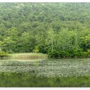 람사르습지길 이미지