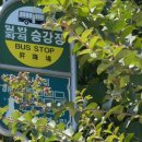 하서2리 이미지