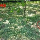 온수골농장 이미지