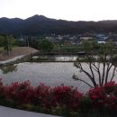 황토흙펜션 꿈의대화 이미지