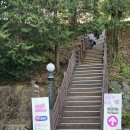 완산도서관 화장실 이미지