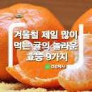 감귤의 효능 이미지