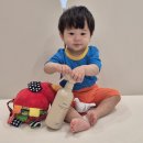 물고빨고 | 수족구 위생관리 러베 아기 토이클리너 추천 욕조클리너 솔직 후기