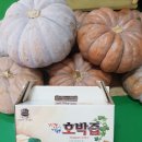 동하건강원