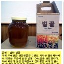 두메골 양봉 Daum카페